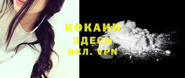 индика Аша