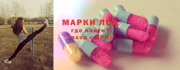 индика Аша